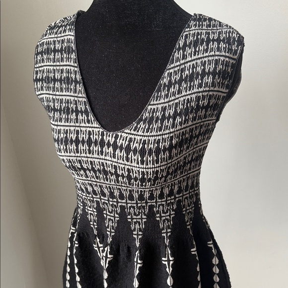 Max Studio Black & White Sleeveless Fit & Flare Dress XS V-Neck Patterned - Picture 6 of 7